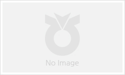 등록된 이미지가 없습니다.