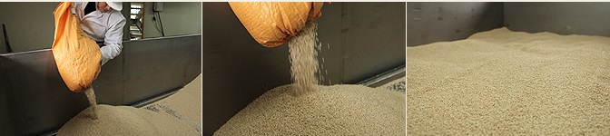 발아조에 원곡투입