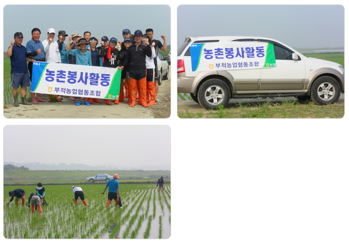 2011사회공헌활동