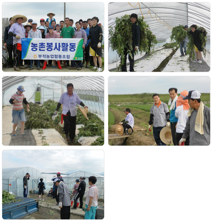 2011사회공헌활동